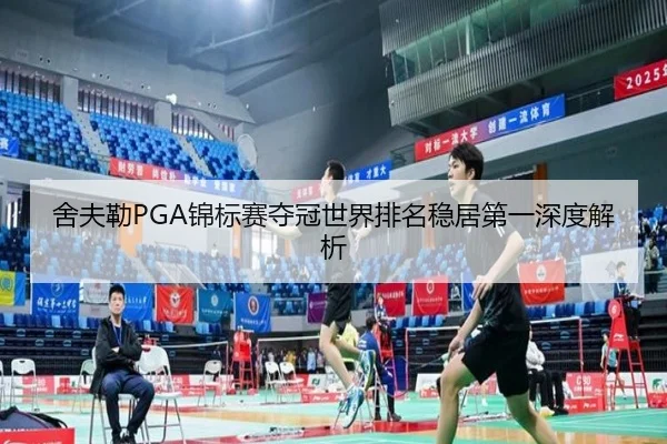 she-fu-lei-jin-biao-sai-duo-guan-shi-jie-pai-ming-wen-ju-di-yi-shen-du-jie-xi-2-466.jpg