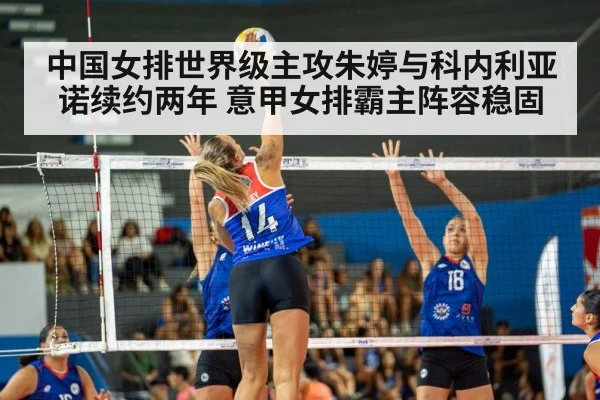 volleyball spike action
