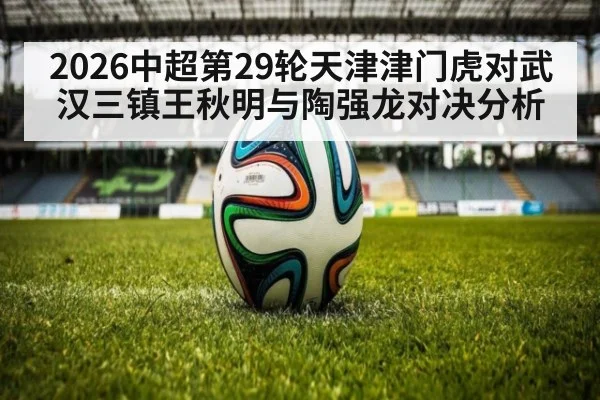 2026中超第29轮天津津门虎对武汉三镇王秋明与陶强龙对决分析